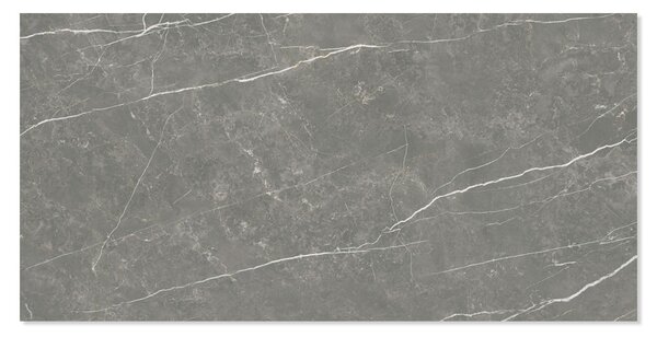 Marmor Klinker Prestige Mörkgrå Polerad 30x60 cm