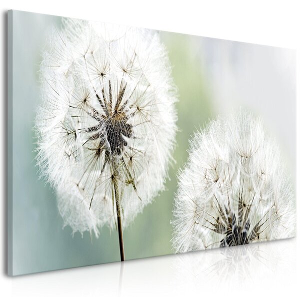 Canvas Tavla - Fluffy Dandelions Green Wide - 100x45