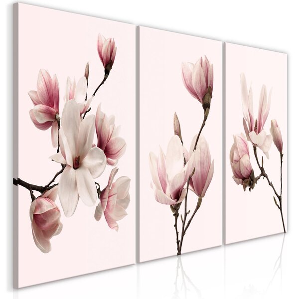 Canvas Tavla - Spring Magnolias (3 delar) - 120x60