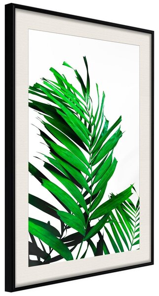 Inramad Poster / Tavla - Emerald Palm - 20x30 Svart ram med passepartout