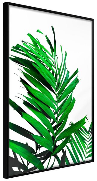 Inramad Poster / Tavla - Emerald Palm - 30x45 Svart ram