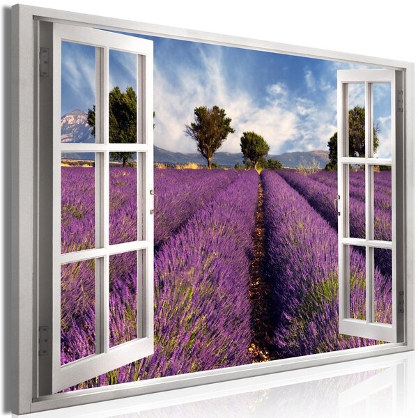 Canvas Tavla - Lavender Field Wide - 120x80