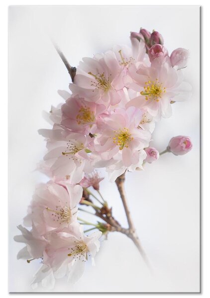 Canvas Tavla - Spring in Japan Vertical - 40x60