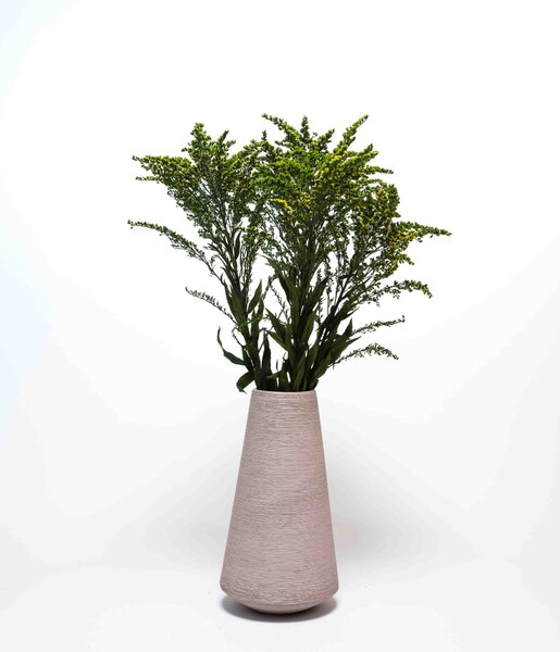 Solidago Grön - Konserverade Växter
