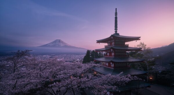 Fotografi Mt Fuji Sakura, Javier de la