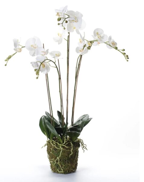 Emerald Konstväxt orkidé med mossa vit 90 cm 20.355