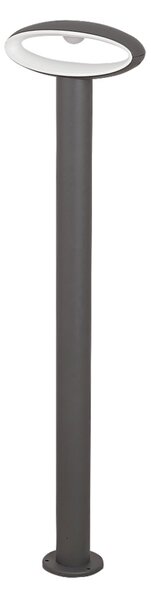 Rabalux 8704 - Utomhus LED-lampa BRISTOL 1xLED/9W