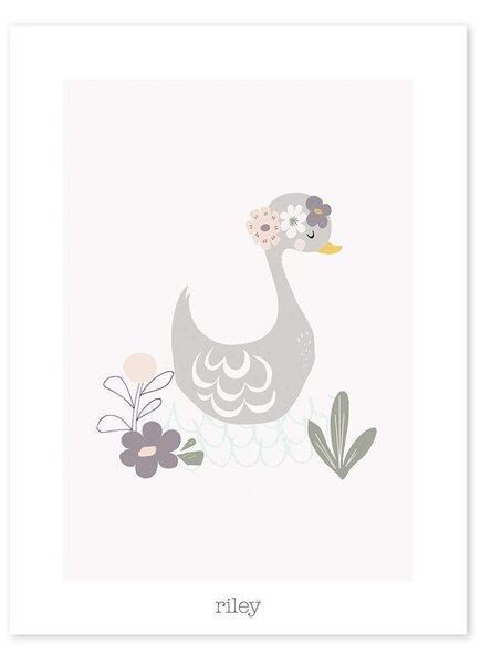 My Lovely Swan (Duck) Poster - 30x40 cm