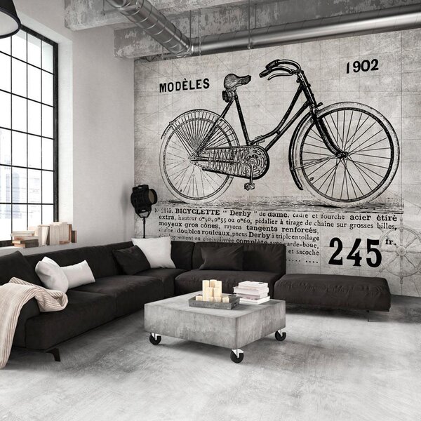 Fototapet - Bicycle (Vintage) - 300x210