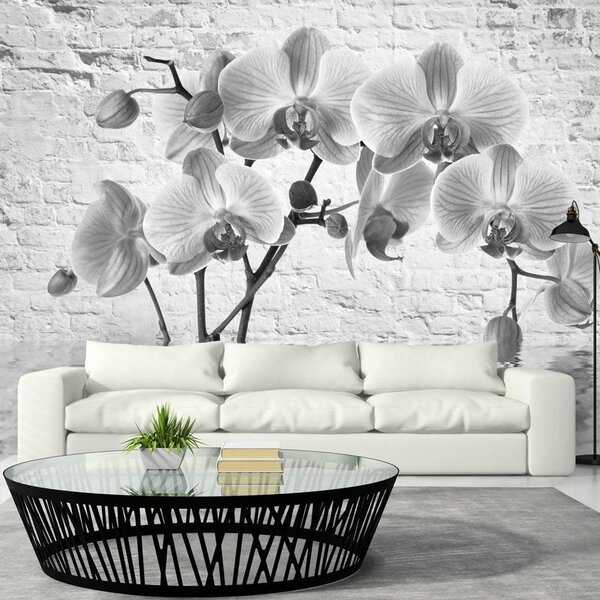 Fototapet - Orchid in Shades of Gray - 100x70