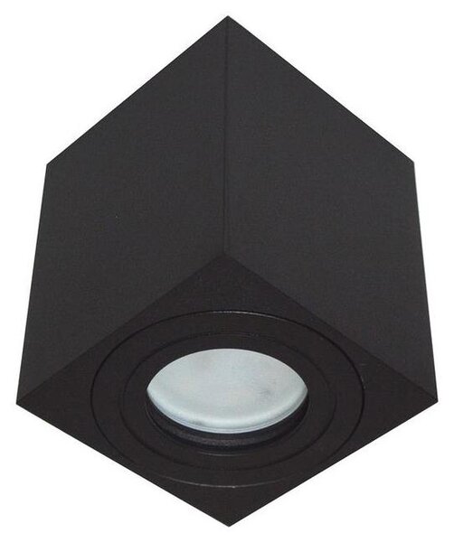 Utomhus spotlight SARA 1xGU10/30W/230V IP54 svart