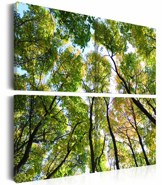 Canvas Tavla - Treetops - 60x60