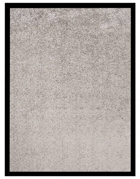 Dörrmatta grå 40x60 cm
