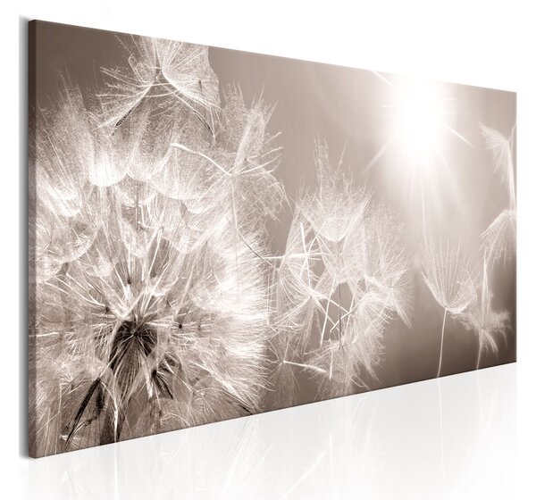 Tavla Summer Dandelions 150x50 - Artgeist sp. z o. o