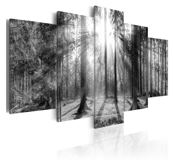 Tavla Forest Of Memories 100x50 - Artgeist sp. z o. o