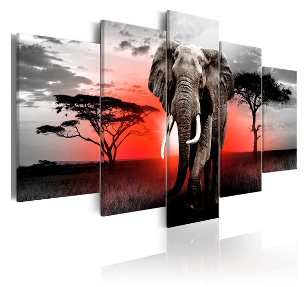 Tavla Lonely Elephant 100x50 - Artgeist sp. z o. o