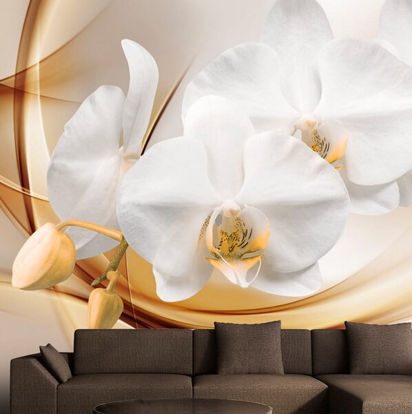 Fototapet Orchid Blossom 100x70 - Artgeist sp. z o. o
