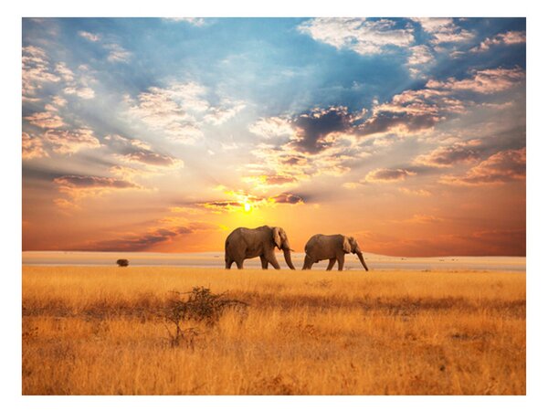 Fototapet Afrikanska Savannen Elefanter 250x193 - Artgeist sp. z o. o