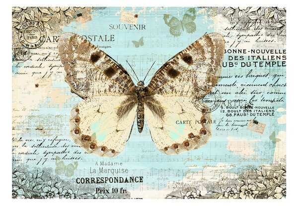 Fototapet Postcard With Butterfly 100x70 - Artgeist sp. z o. o