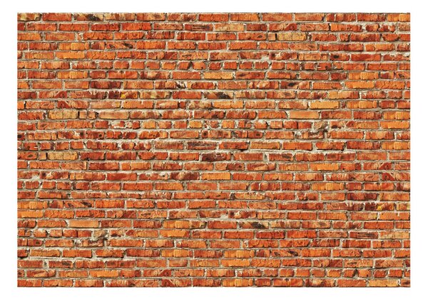 Fototapet Brick Wall 100x70 - Artgeist sp. z o. o