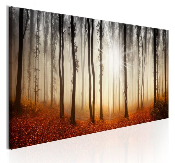 Tavla Autumnal Fog 120x40 - Artgeist sp. z o. o