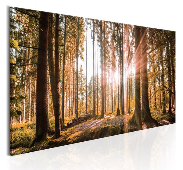 Tavla Small Natural Wonders 135x45 - Artgeist sp. z o. o