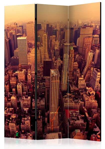 Rumsavdelare - Bird Eye View Of Manhattan 135x172 - Artgeist sp. z o. o