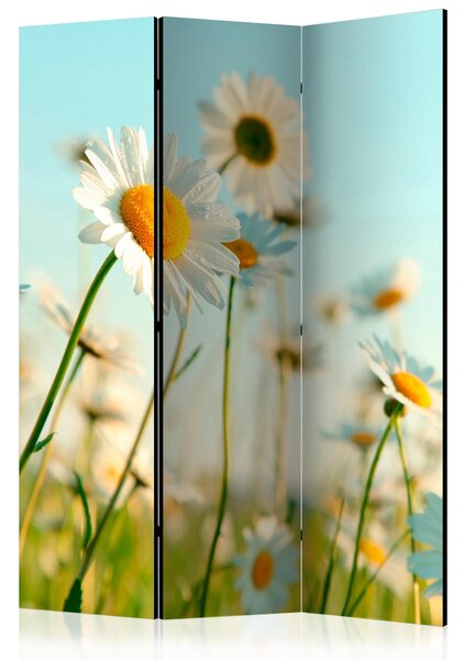 Rumsavdelare - Daisies - spring meadow 135x172 - Artgeist sp. z o. o
