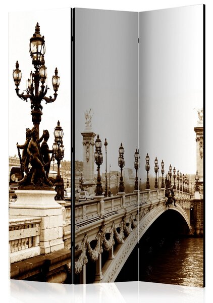 Rumsavdelare - Alexander III Bridge, Paris 135x172 - Artgeist sp. z o. o