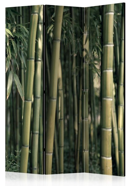 Rumsavdelare - Bamboo Exotic 135x172 - Artgeist sp. z o. o