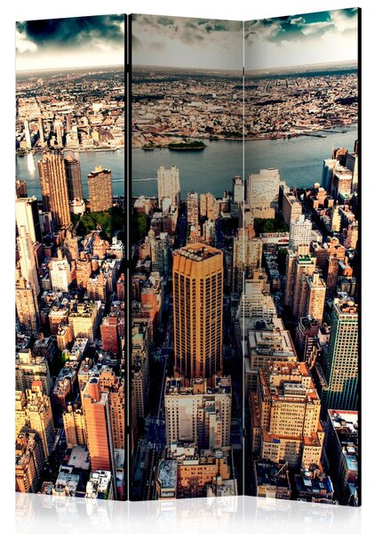 Rumsavdelare - Bird's Eye View of New York 135x172 - Artgeist sp. z o. o