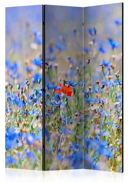 Rumsavdelare A Sky-Colored Meadow - Cornflowers 135x172 cm - Artgeist sp. z o. o