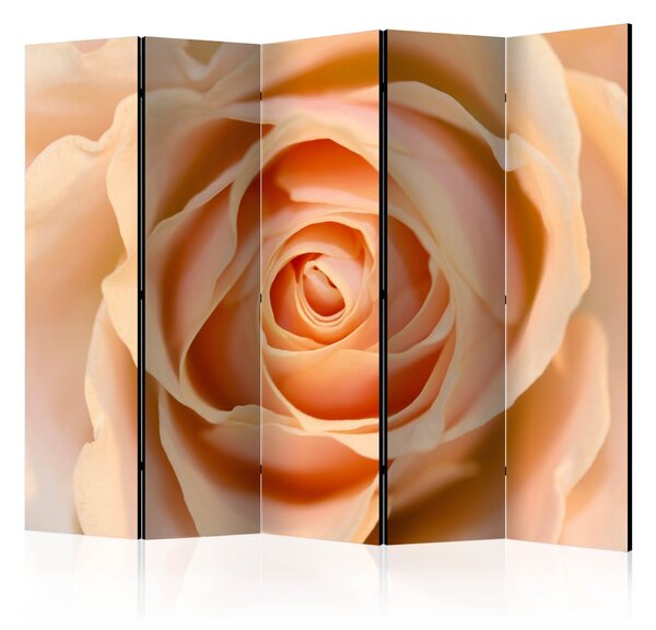 Rumsavdelare - Peach-colored rose II 225x172 - Artgeist sp. z o. o
