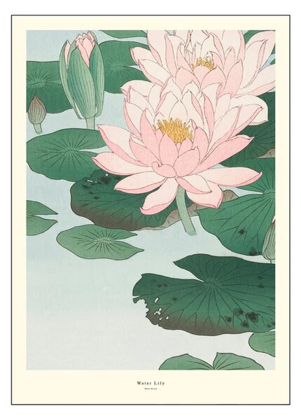 Poster A.P. Atelier Water Lily 30x40 cm