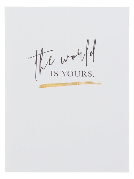 THE WORLD IS YOURS poster 30x40 cm