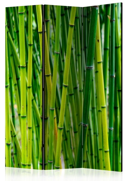 Rumsavdelare Bamboo Forest 135x172 - Artgeist sp. z o. o