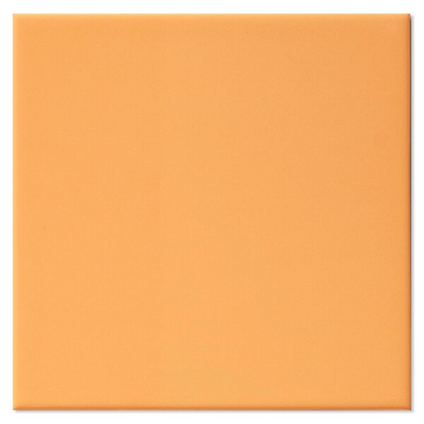 Kakel Monocolor Orange Blank 20x20 cm
