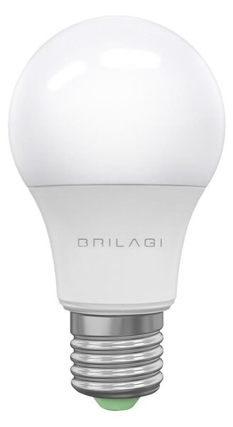 LED Glödlampa ECOLINE A60 E27/15W/230V 4000K - Brilagi