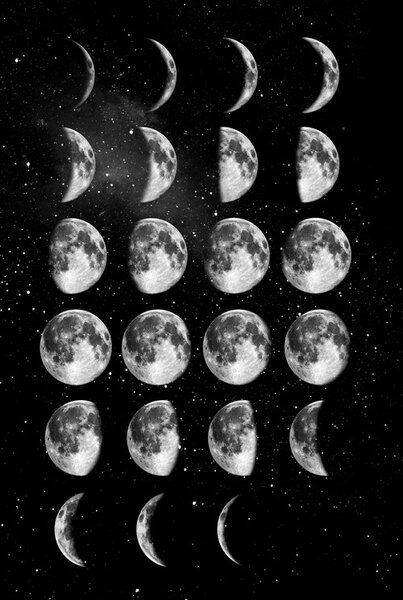 Illustration Full Moon Cycle, Brett Wilson