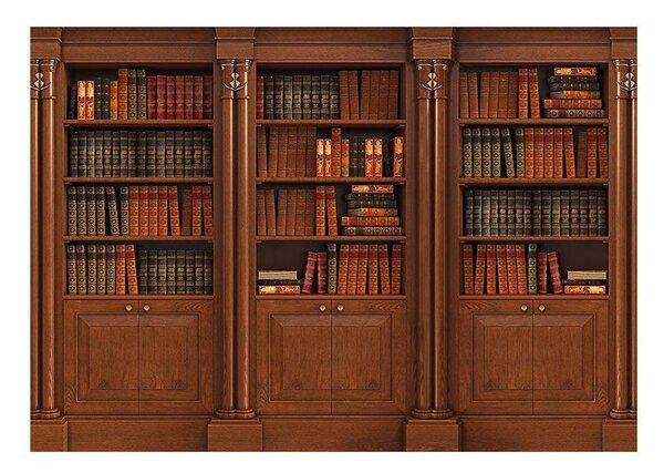 Självhäftande Fototapet - Elegant Library - 98x70