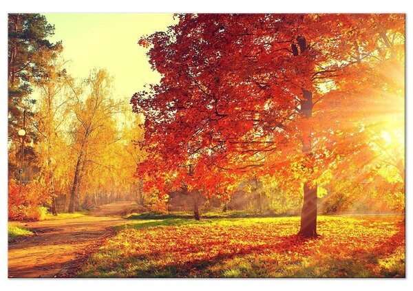 Canvas Tavla - Autumn Afternoon Wide - 60x40