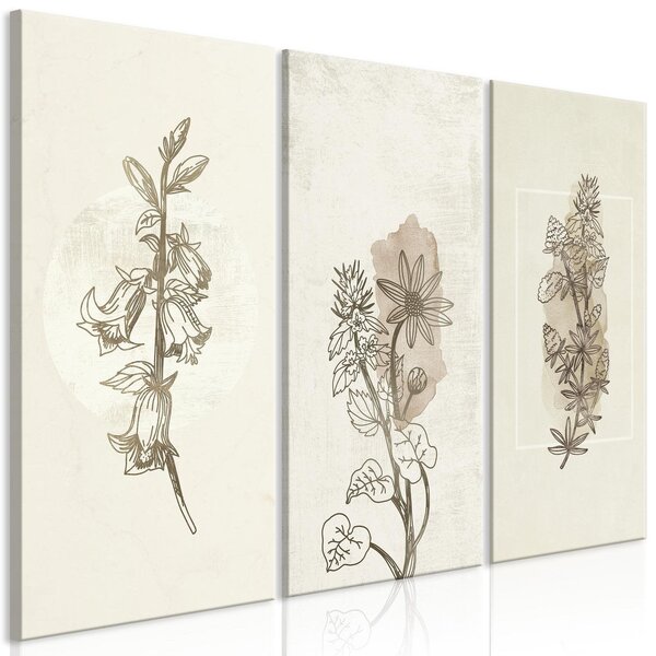 Canvas Tavla - Herbarium (3 delar) - 90x60