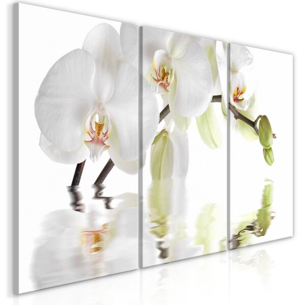 Canvas Tavla - Wonderful Orchid (3 delar) - 60x30