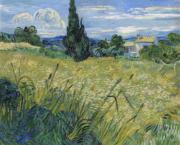 Bildreproduktion Green Wheat Field with Cypress (1889), Vincent van Gogh