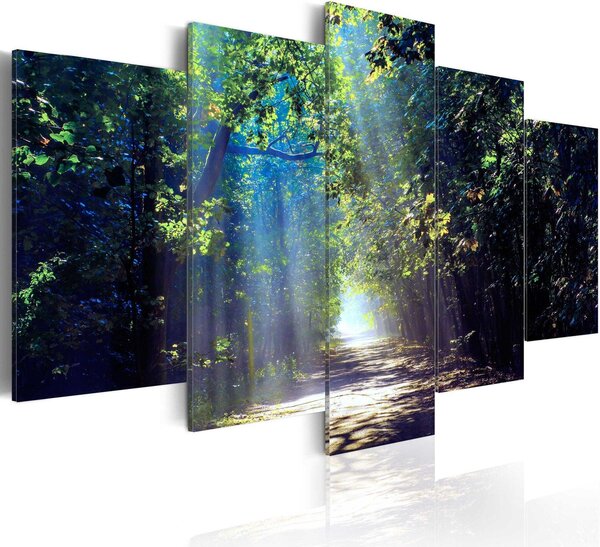 Canvas Tavla - Sunny Forest Path - 100x50