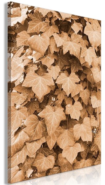 Canvas Tavla - Autumn Ivy Vertical - 40x60