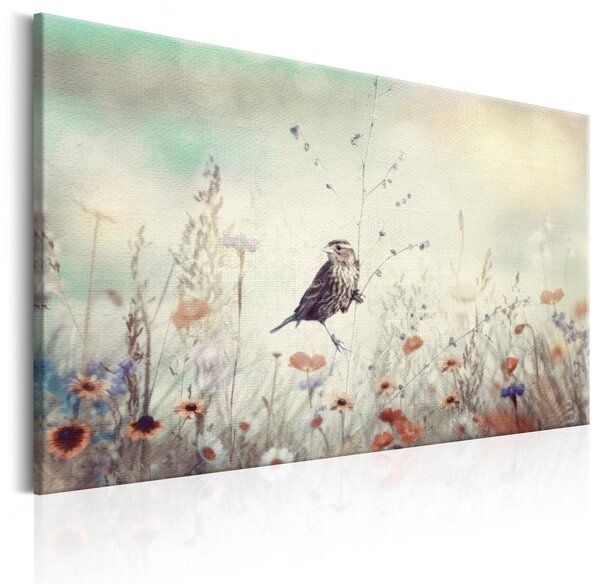 Canvas Tavla - Wild Meadow - 60x40