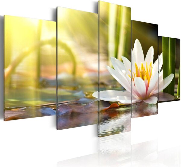 Canvas Tavla - Sunny Lotus - 100x50
