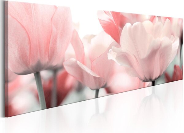 Canvas Tavla - Pink Tulips - 135x45
