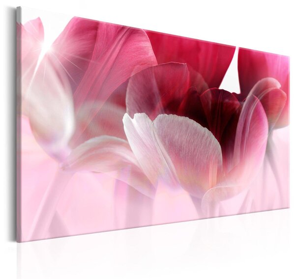 Canvas Tavla - Nature: Pink Tulips - 120x80
